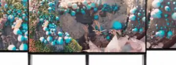 HP lanceert acht Z-monitoren voor creative professionals