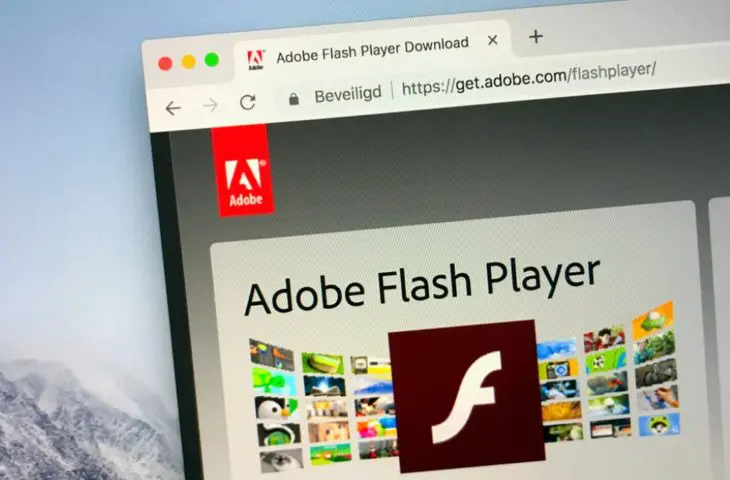 adobe flash