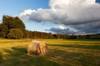 Hoe Care4Growing de hele landbouwsector wil digitaliseren