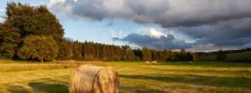 Hoe Care4Growing de hele landbouwsector wil digitaliseren