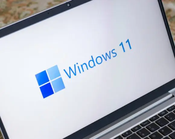 Windows 11