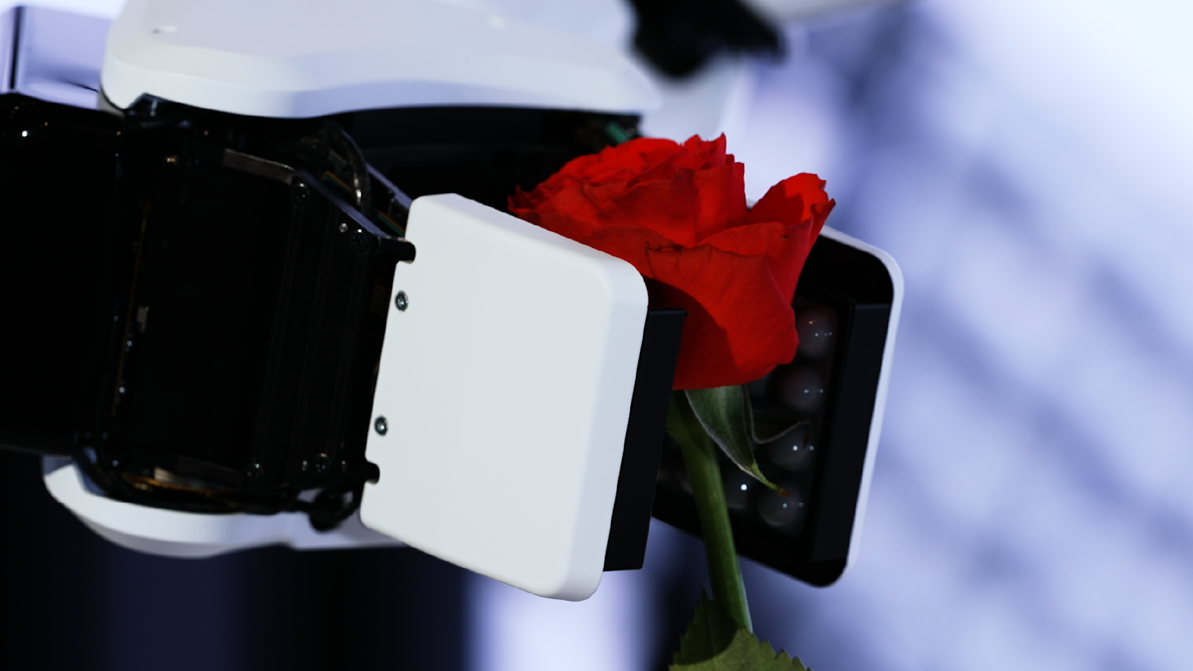 Manipulator Sony
