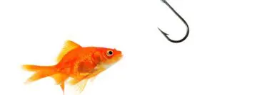 Phishing
