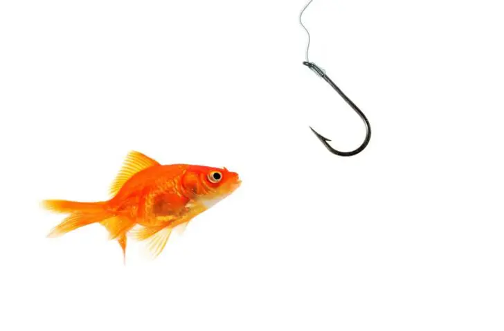 Phishing