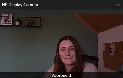 HP-monitor-voorbeeld-2