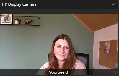 HP-monitor-voorbeeld