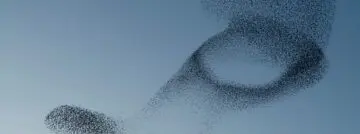 HPE lanceert Swarm Learning: gedecentraliseerde machine learning voor Edge