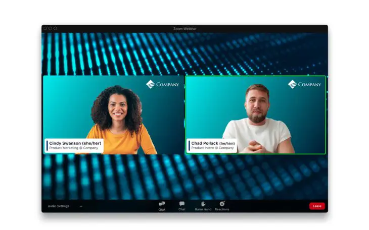 Zoom-Webinar