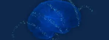 Cisco Predictive Networks