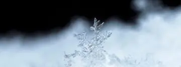 snowflake