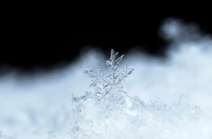 snowflake