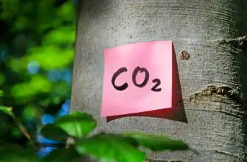 co2 voetafdruk