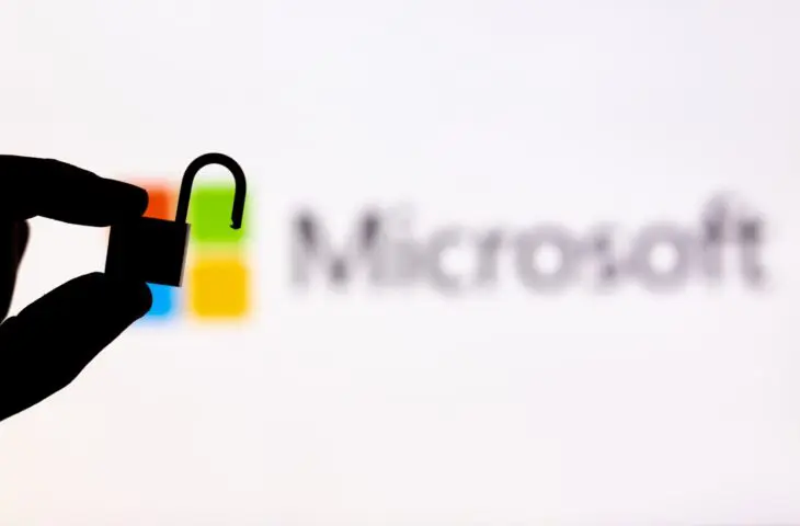 microsoft datalek