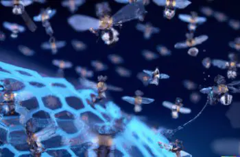 swarm learning