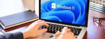 windows 11