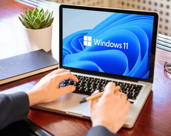 windows 11