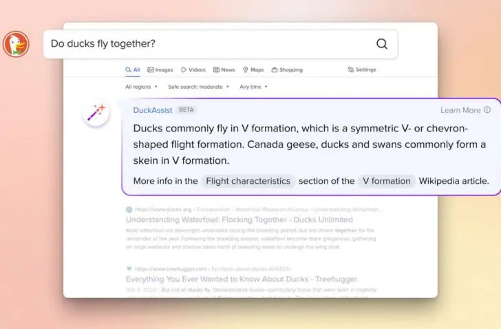 duckduck go AI