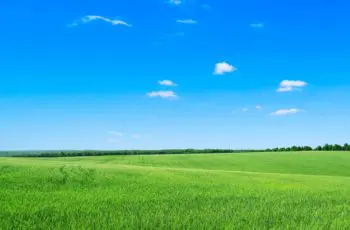 Gras groen, lucht blauw en pc-verkoop daalt in Q1