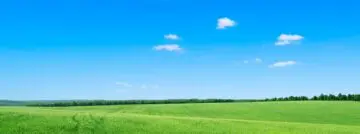 Gras groen, lucht blauw en pc-verkoop daalt in Q1