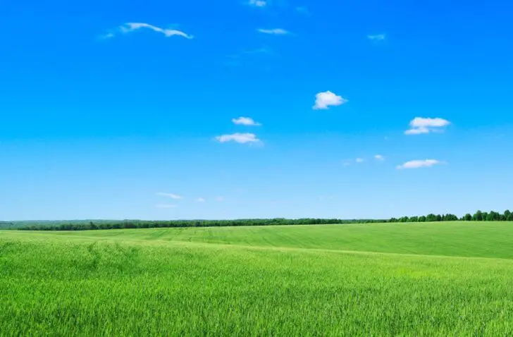 Gras groen, lucht blauw en pc-verkoop daalt in Q1