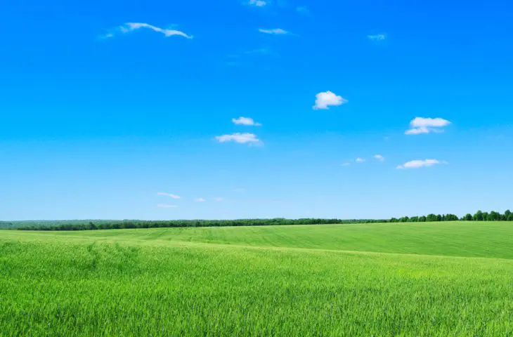 Gras groen, lucht blauw en pc-verkoop daalt in Q1