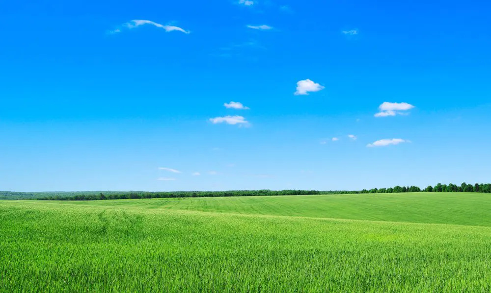 Gras groen, lucht blauw en pc-verkoop daalt in Q1