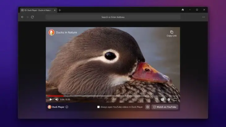 duck player