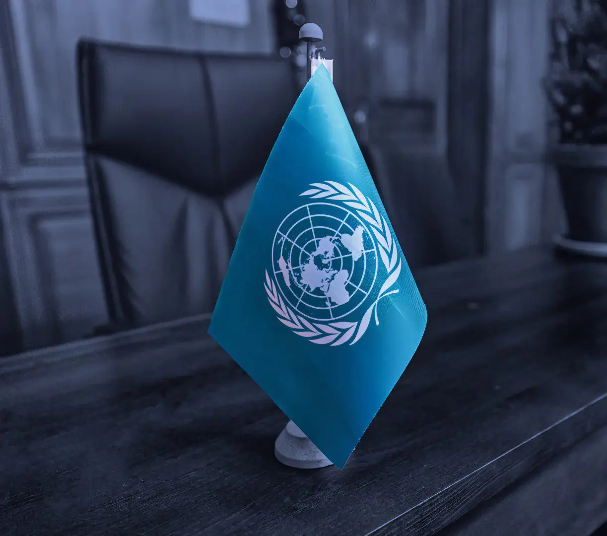 Houdt de VN experten weg van zijn digitale toekomstplannen?