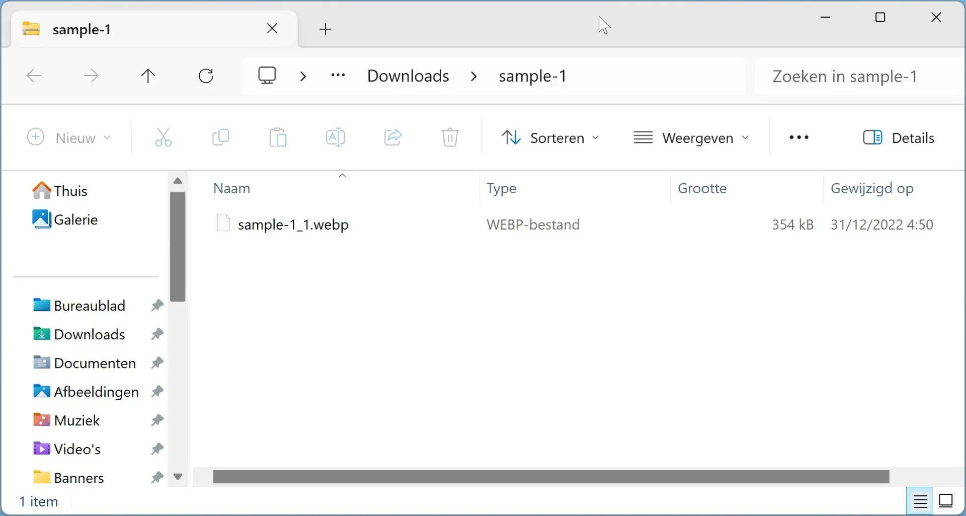 Windows-11-RAR-ondersteuning