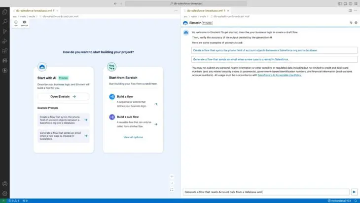 Einstein For Anypoint Code Builder