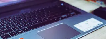 amd windows copilot