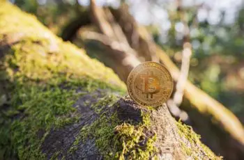 Bitcoin_milieu_waterverbruik