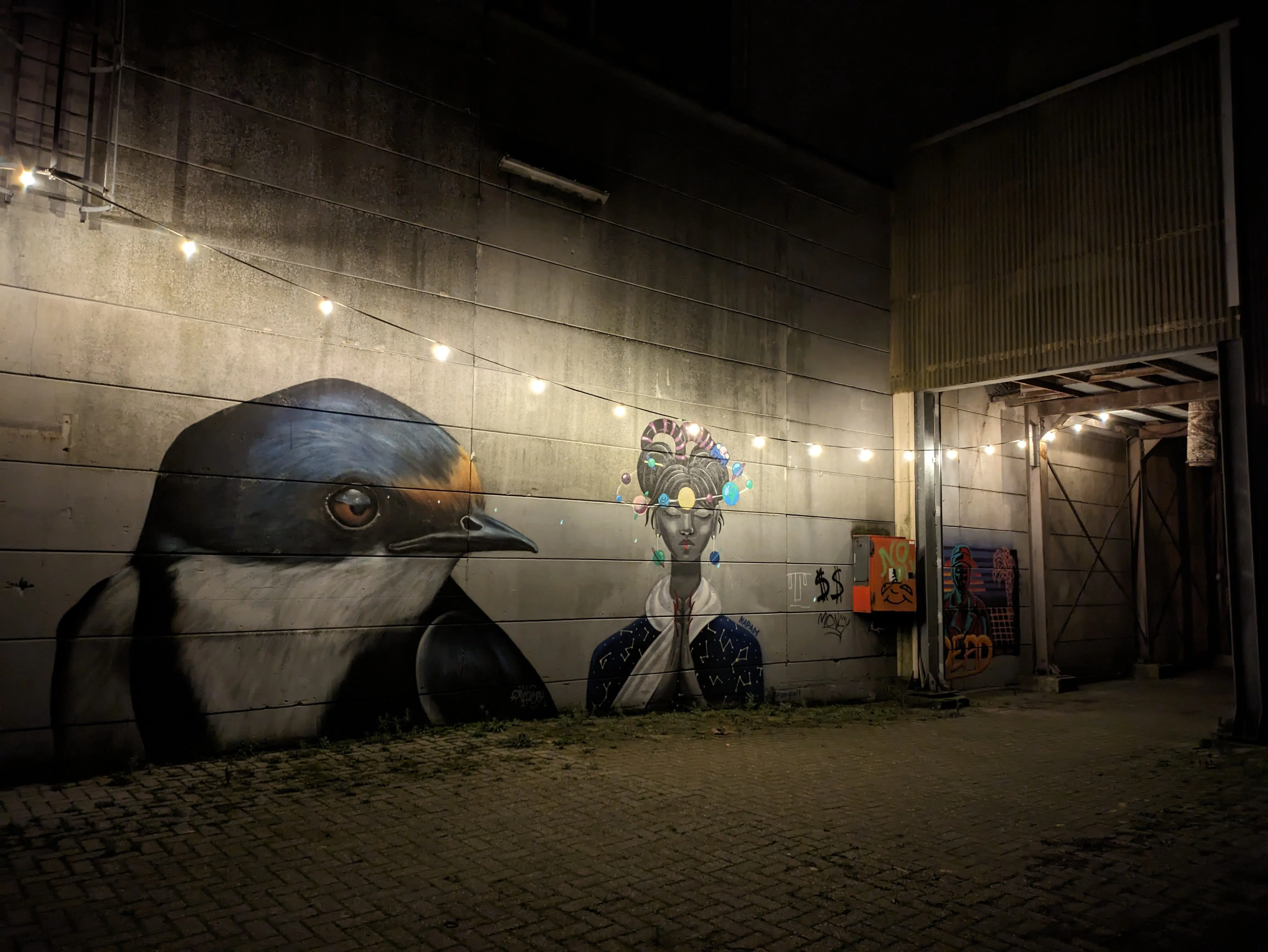 pixel nacht Google Pixel 7a