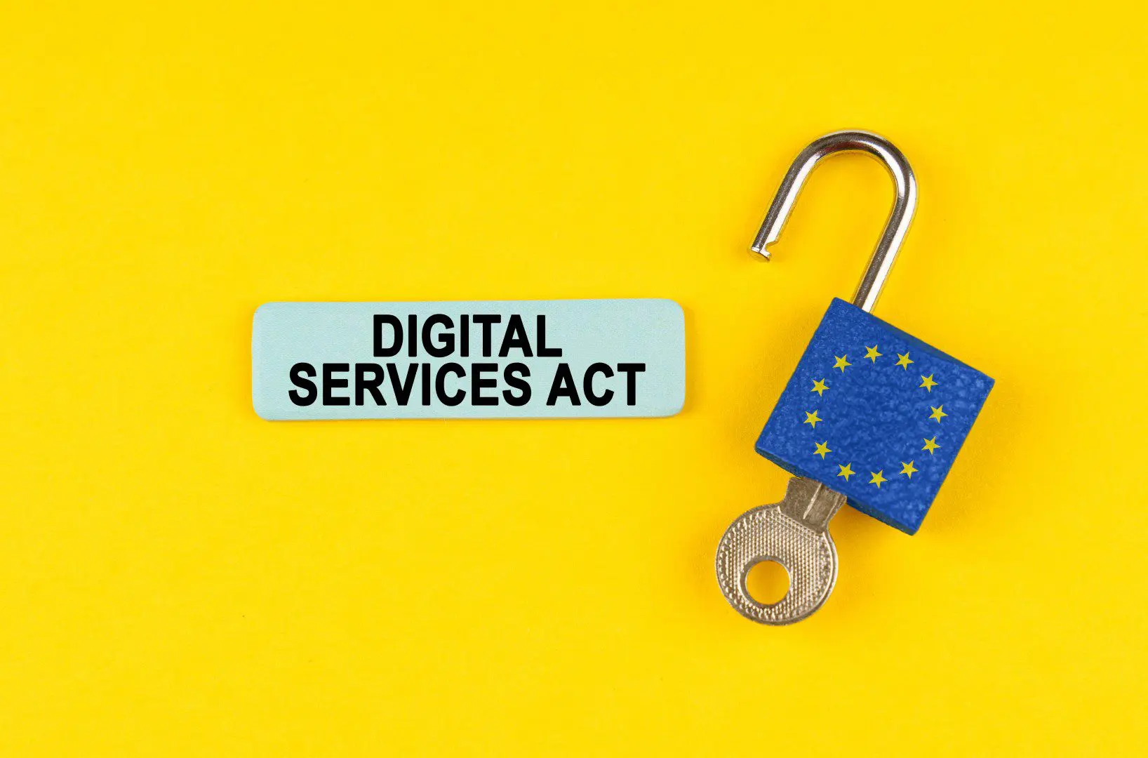 Europese Digital Services Act volledig in werking voor grote en kleinere bedrijven:  waarvoor dient de richtlijn?