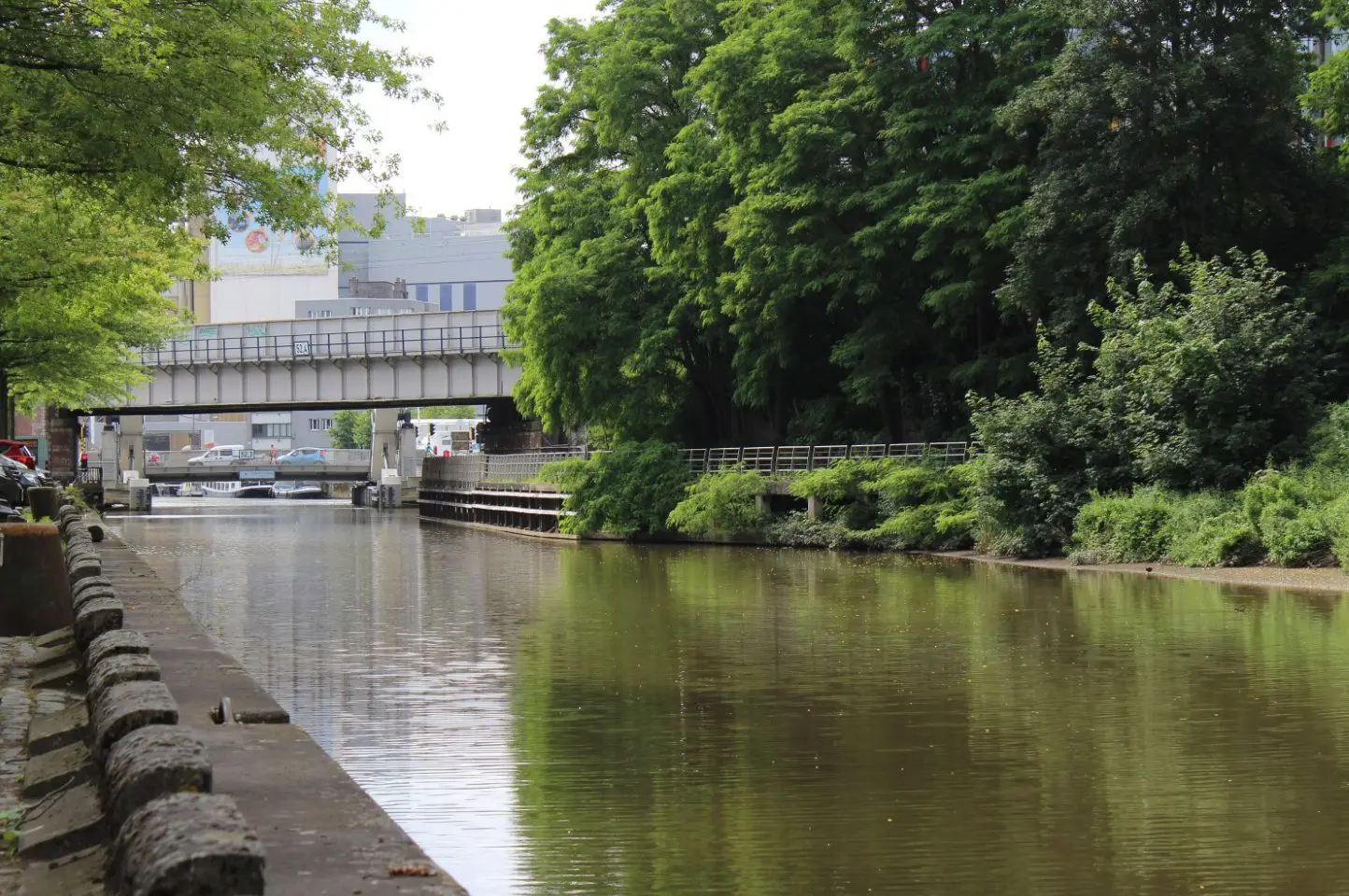 Zeewater geeft alert fatigue: hoe IoT de vissen in de beek in leven houdt