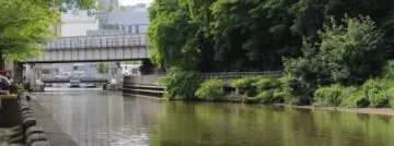 Zeewater geeft alert fatigue: hoe IoT de vissen in de beek in leven houdt