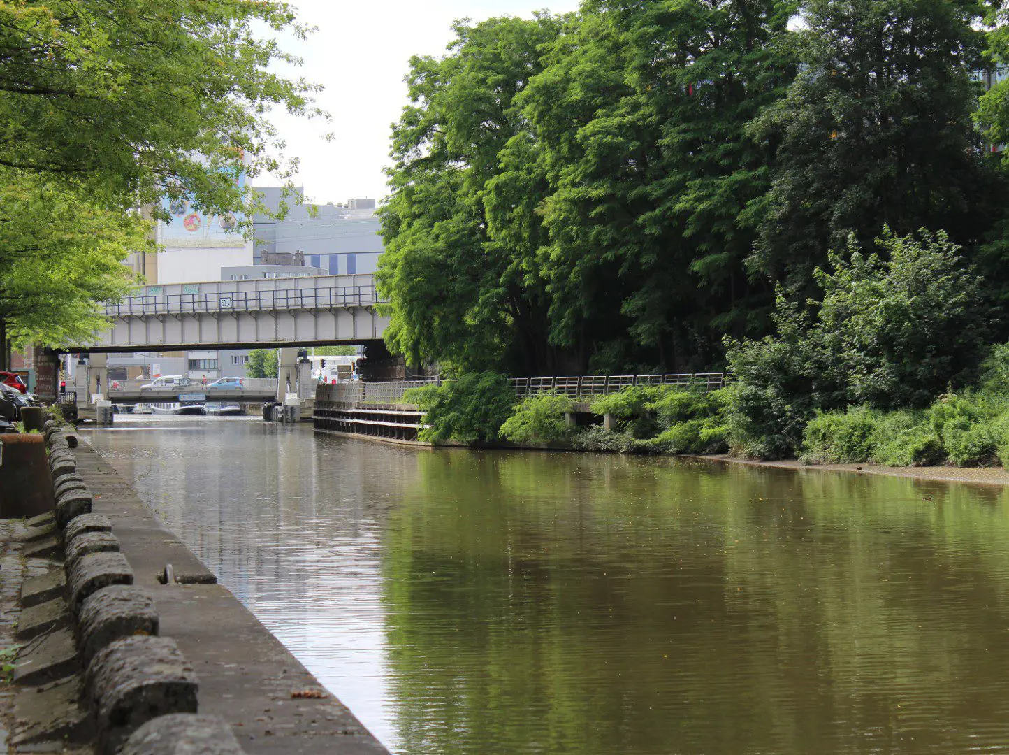 Zeewater geeft alert fatigue: hoe IoT de vissen in de beek in leven houdt