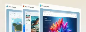 recall windows 11