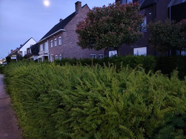 Motorola Edge 13 Pro foto 12