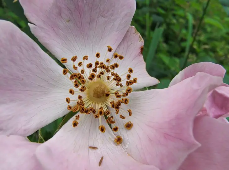 Motorola Edge 13 Pro foto 20