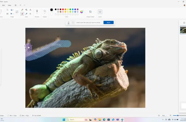 Microsoft Paint krijgt generatieve AI-functies om afbeeldingen te bewerken