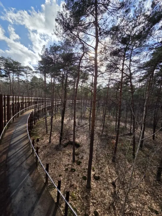 fietsen door de bomen