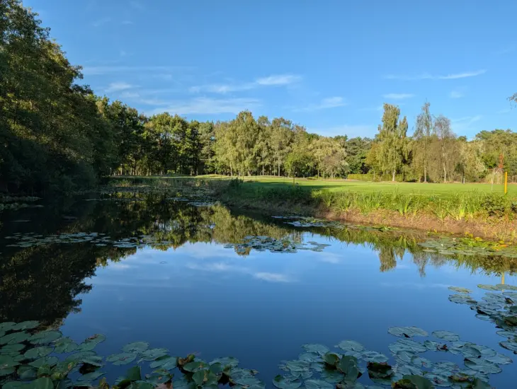 Google Pixel 10 Pro Foto 1