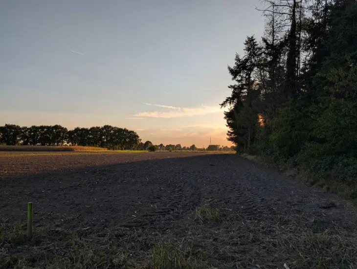 Google Pixel 10 Pro Foto 3