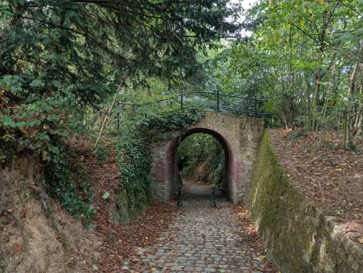 PXL_20250906_134453414.MP