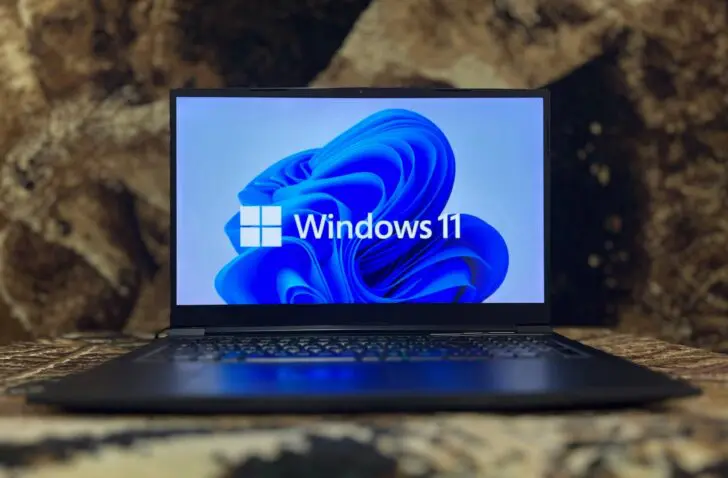 windows 11