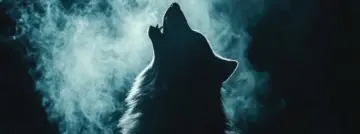 Arctic Wolf lanceert Decipio voor vroegtijdige detectie van logindiefstal