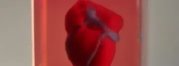 3D-geprint hart