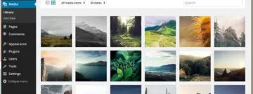 “30 procent van de websites draait op WordPress”