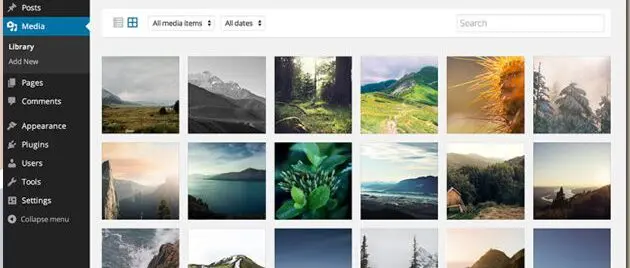 “30 procent van de websites draait op WordPress”